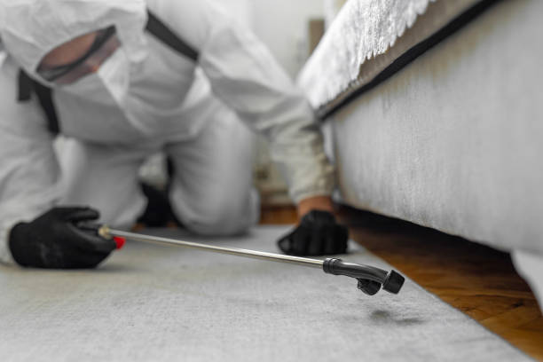 Professional Ant Control technician working in Schulenburg, TX